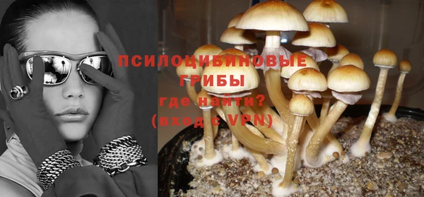 Альфа ПВП Алексин