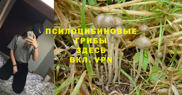 Альфа ПВП Алексин