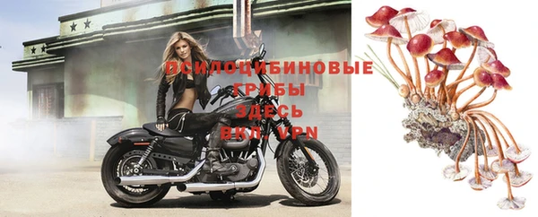 круглые Алзамай