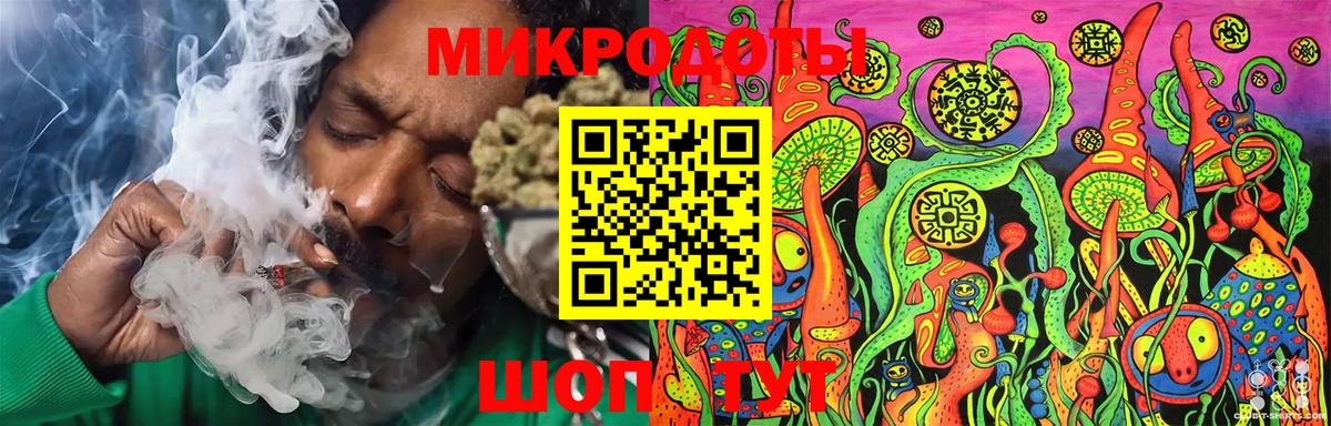 Галлюциногенные грибы Psilocybe Санкт-Петербург