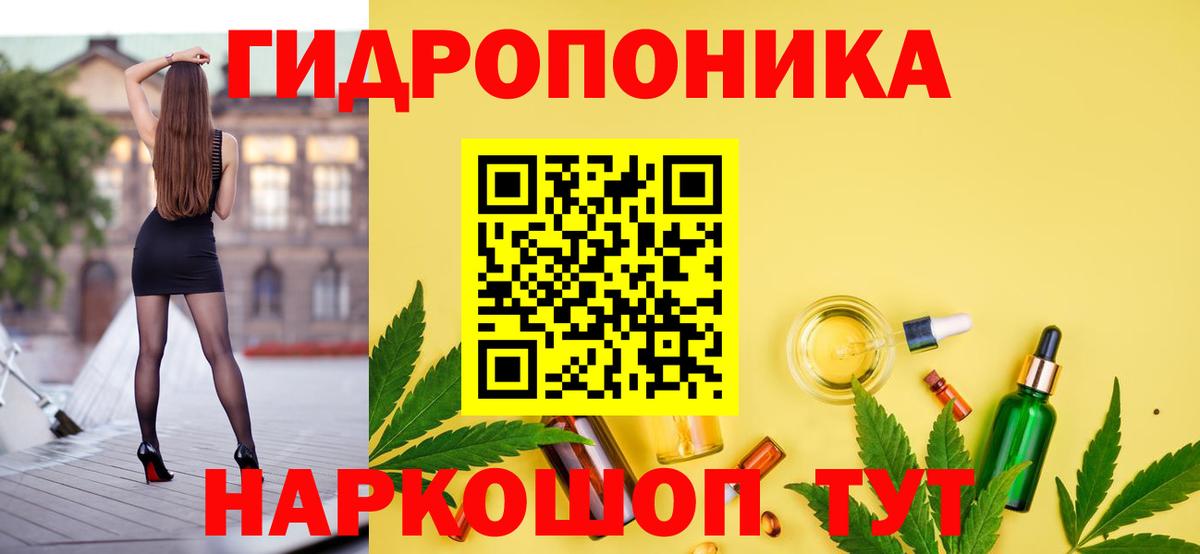 Шишки марихуана план Санкт-Петербург